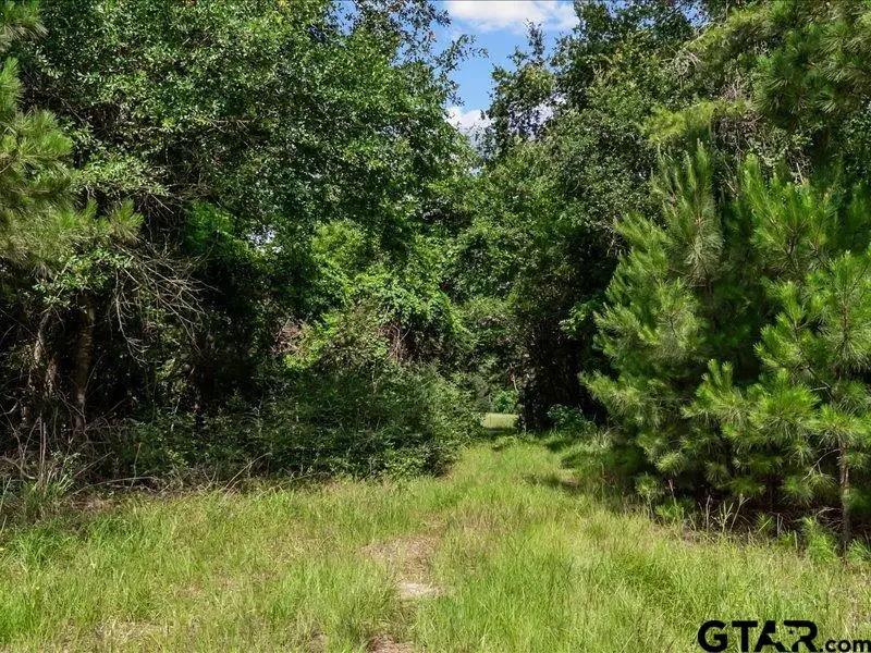 000 An County Road 100, Elkhart, TX 75839 - Image #3