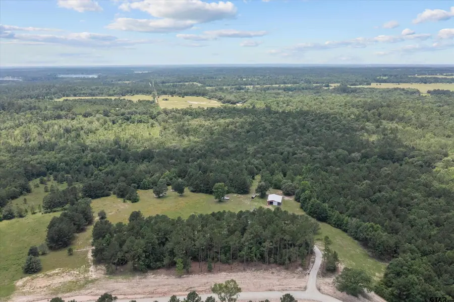 656 Vineyard View Ranch, Grapeland, TX 75844 - #2