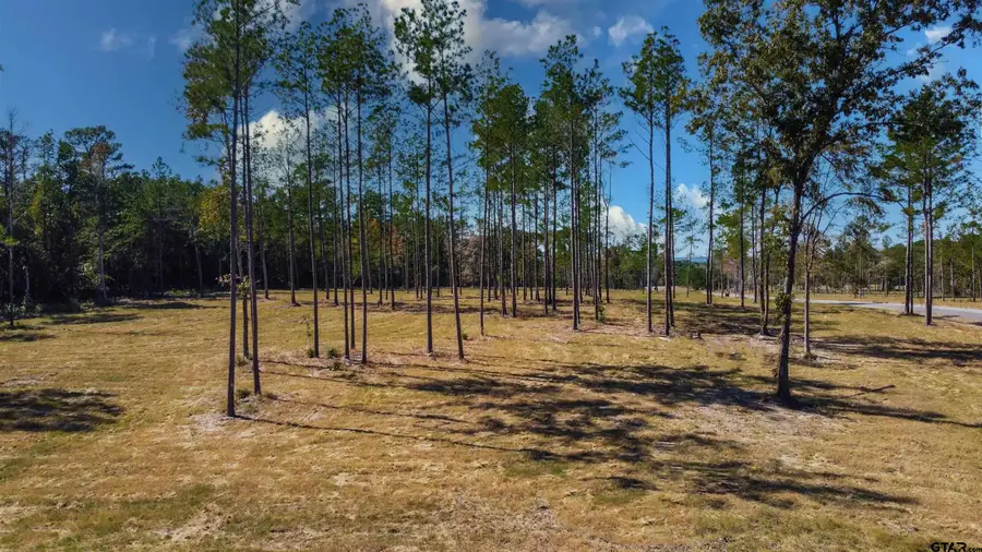 15537 Aniston Ln - (LOT 2), Flint, TX 75762 - Image #3