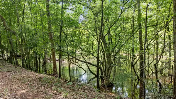 1546 CR 2214, Rusk, TX 75785