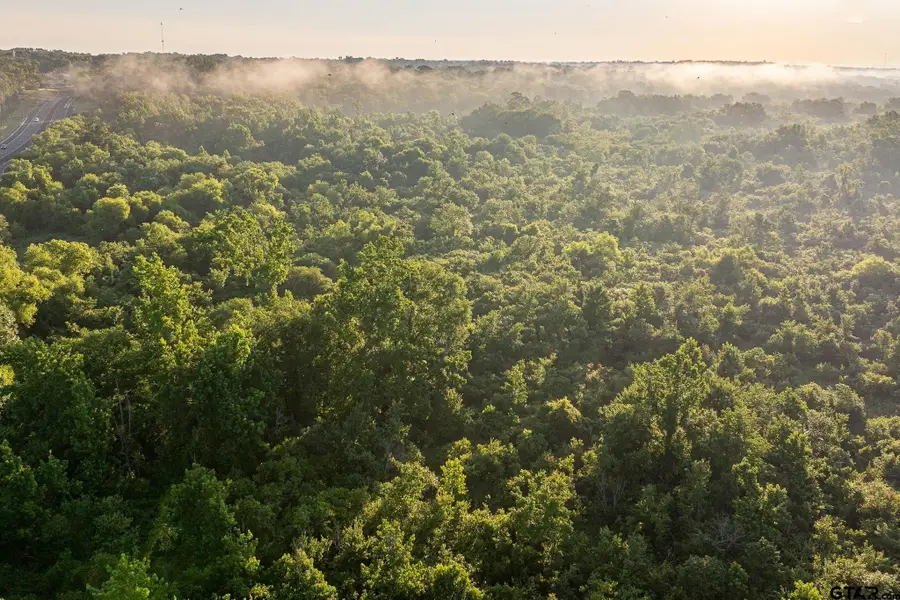 000 Hwy 155, Frankston, TX 75763 - Image #2