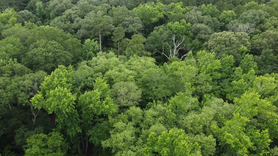 TBD County Road 1418, Quitman, TX 75783 - Image #2