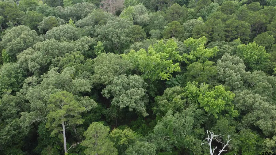 TBD County Road 1418, Quitman, TX 75783 - Image #3