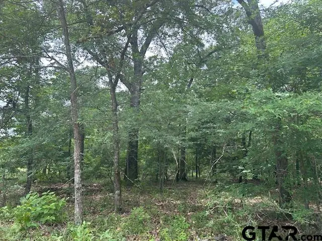 TBD VZCR 1712, Grand Saline, TX 75140 - Image #2