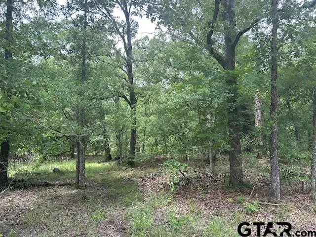 TBD VZCR 1712, Grand Saline, TX 75140 - Image #3