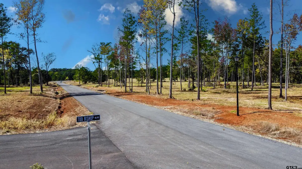 16111 Aniston Ln - (LOT 14), Flint, TX 75762 - Image #1