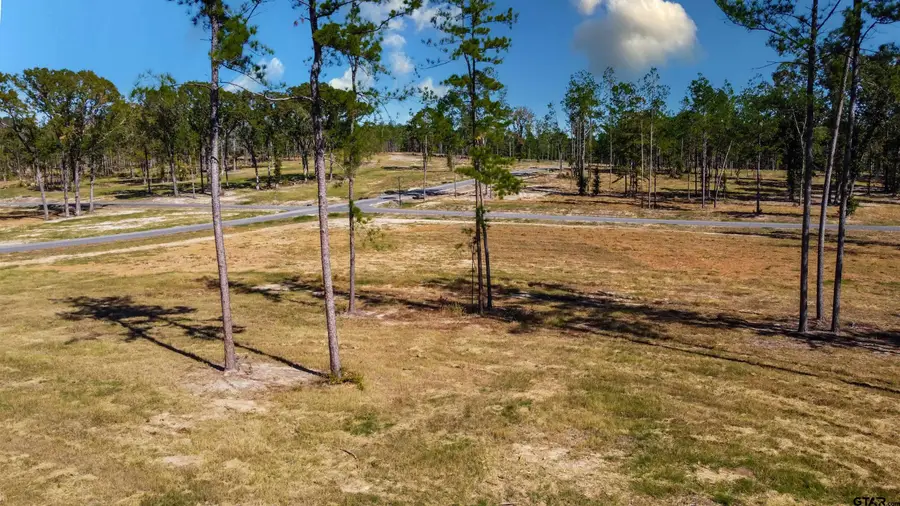 15756 Aniston Ln - (LOT 23), Flint, TX 75762 - Image #2