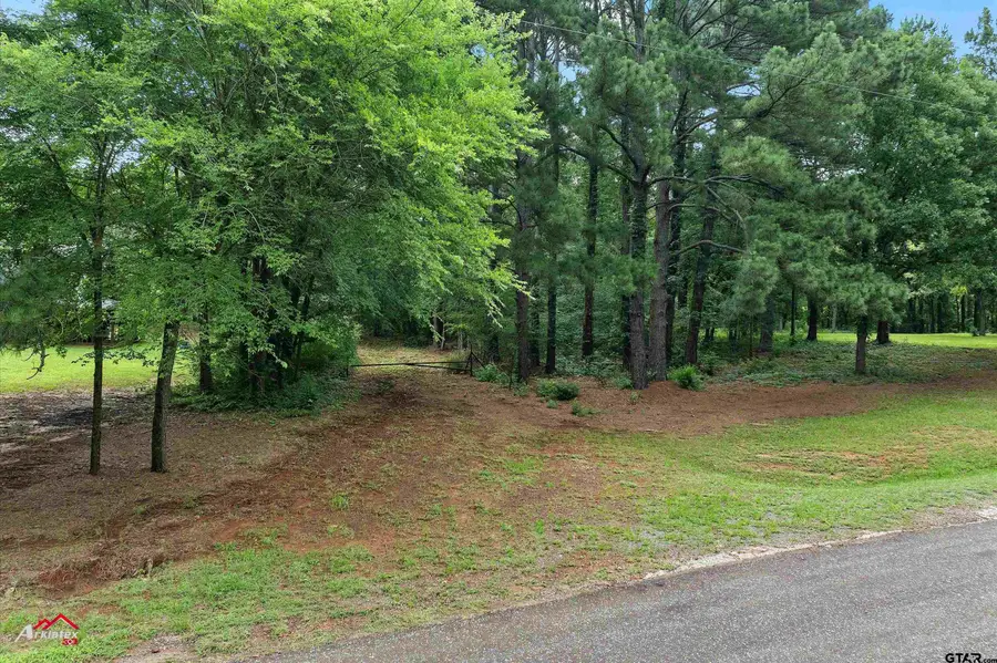 TBD CR 4120, Jacksonville, TX 75766 - Image #2