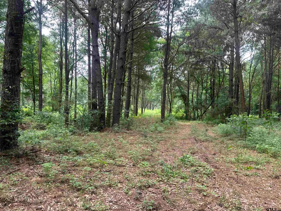 X FM 3042, Pittsburg, TX 75686 - Image #2