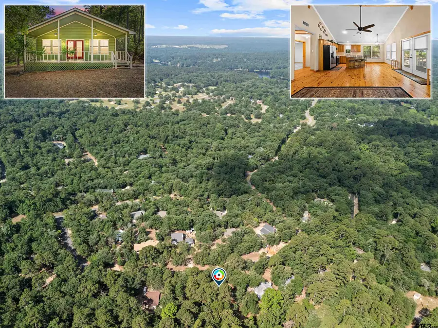 149 Primrose Path, Holly Lake Ranch, TX 75765 - Image #2