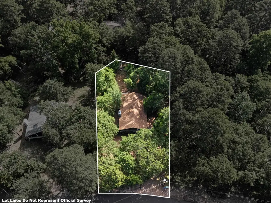 149 Primrose Path, Holly Lake Ranch, TX 75765 - Image #3