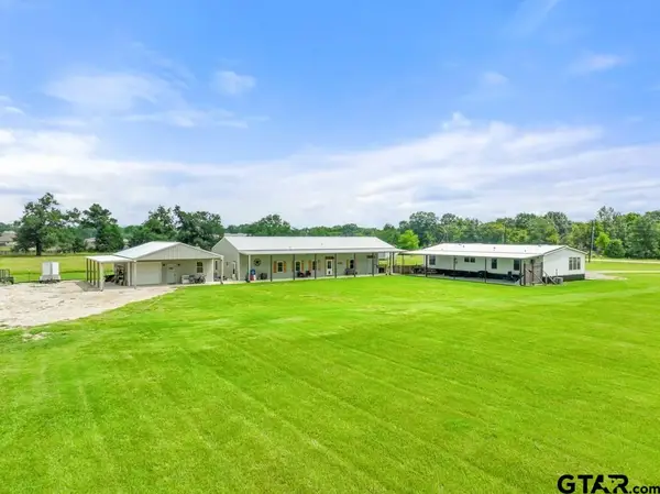 8642 S Fm 779, Alba, TX 75410