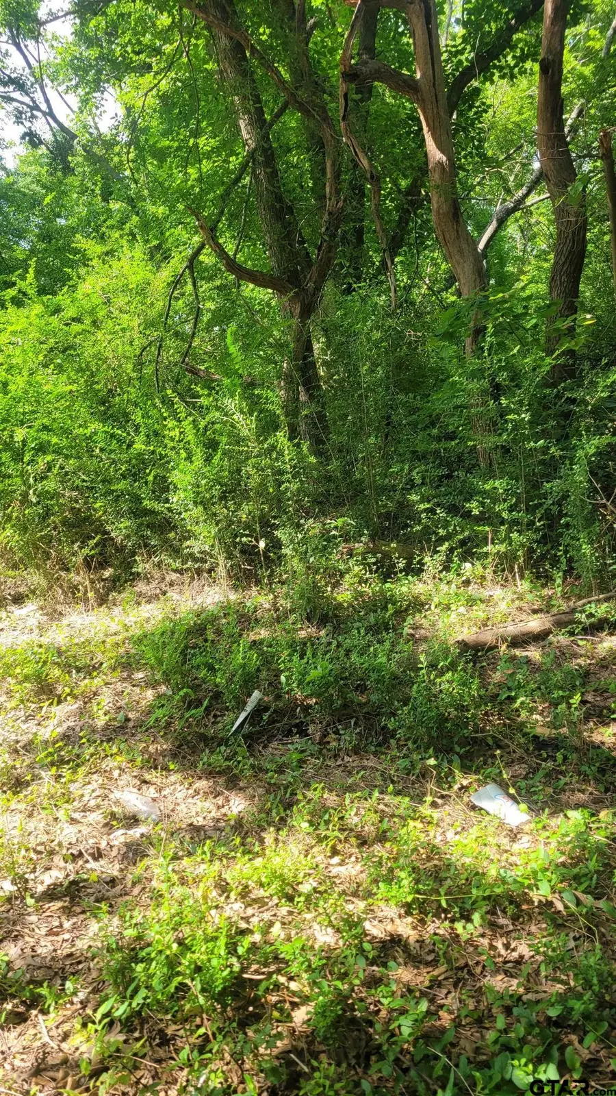 15907 & 15862 CR 46, Tyler, TX 75704 - Image #2