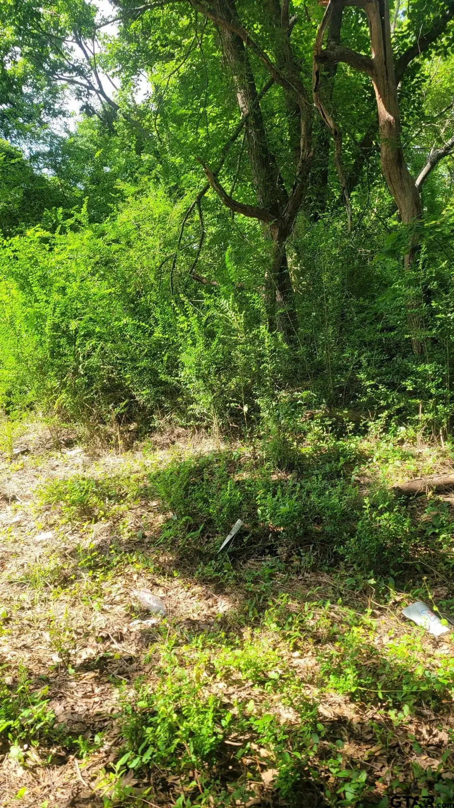 15907 & 15862 CR 46, Tyler, TX 75704 - Image #3