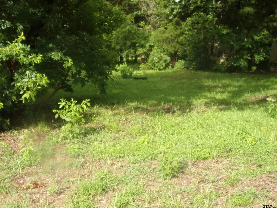 187 Holly Lane, Murchison, TX 75778 - Image #3