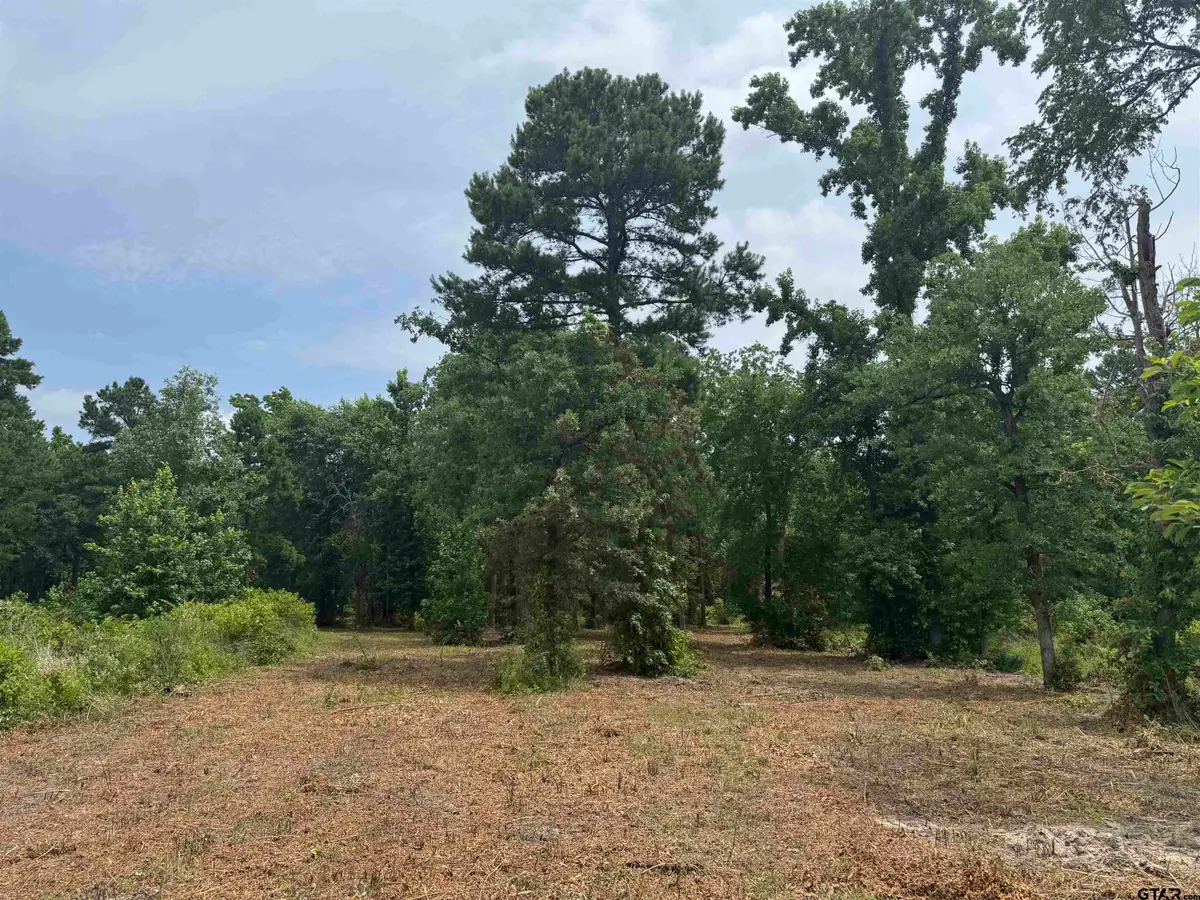 3162 Shadow Pine Dr, Larue, TX 75770 - Image #1