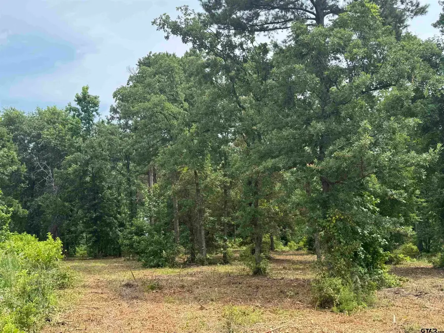 3162 Shadow Pine Dr, Larue, TX 75770 - Image #2