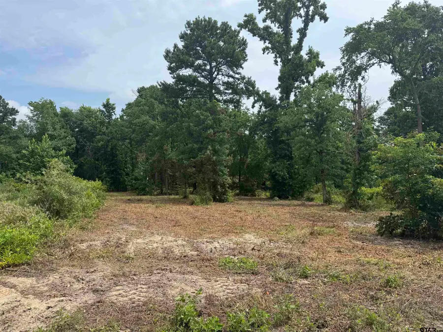 3162 Shadow Pine Dr, Larue, TX 75770 - Image #3