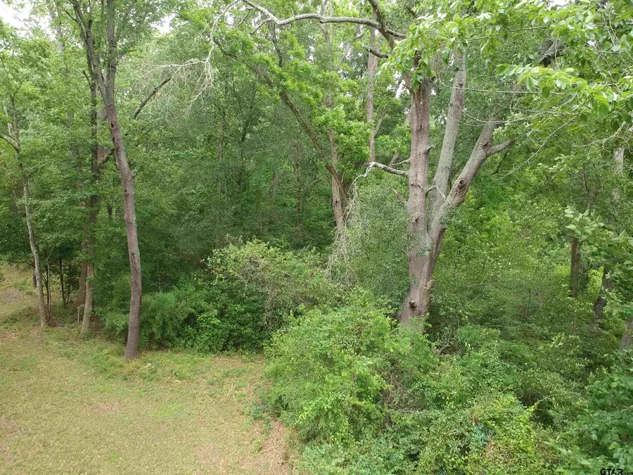 0 S Friou Street, Jefferson, TX 75657 - #3