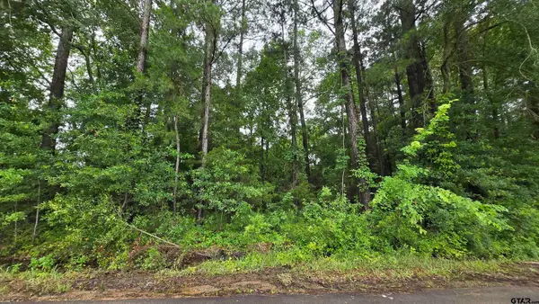 169 Chelsea Ln., Bullard, TX 75757