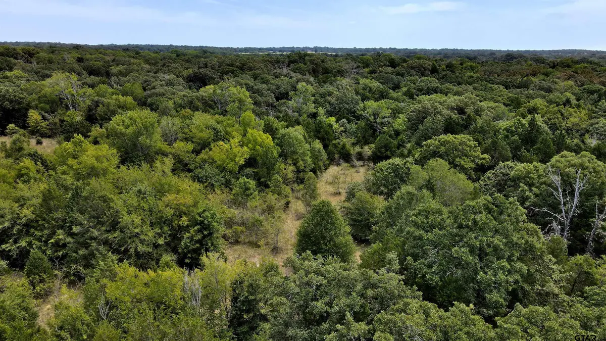 TBD CR 41514, Athens, TX 75751 - #1