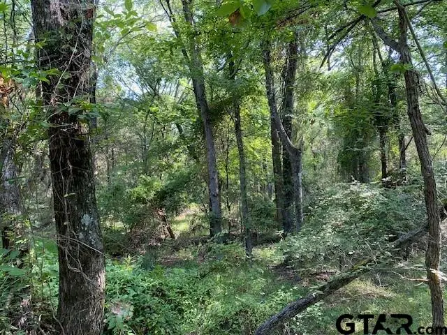 TBD CR 41514, Athens, TX 75751 - #3