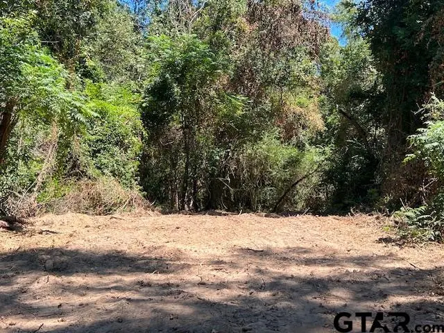 TBD FM 1519 CR 3322 LOT 1, Pittsburg, TX 75686 - Image #1