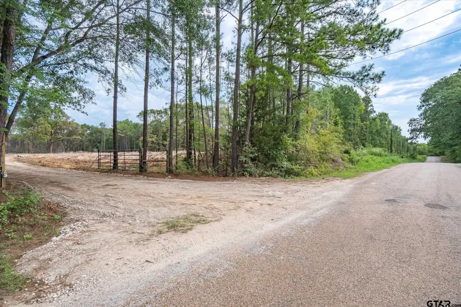19451 County Road 4307, Larue, TX 75770 - Image #2