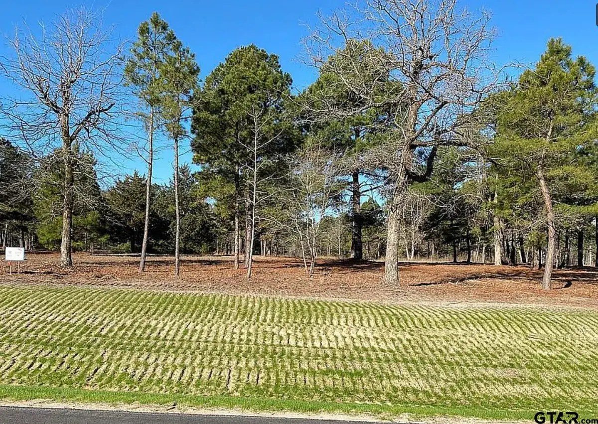 3135 Shadow Pine Drive, Larue, TX 75770 - Image #1