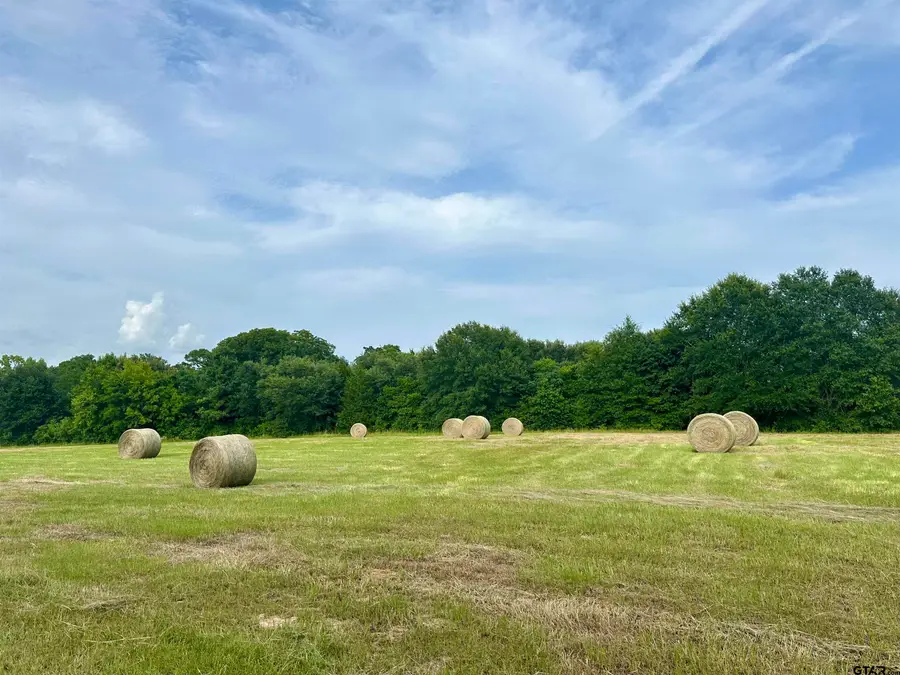 220 Beach St, Jacksonville, TX 75766 - Image #3