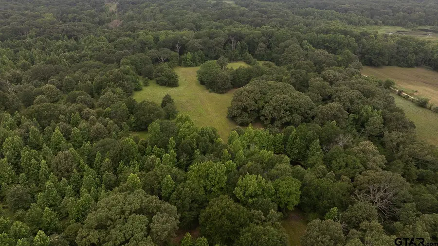 1656 VZ County Road 2918, Eustace, TX 75124 - Image #2