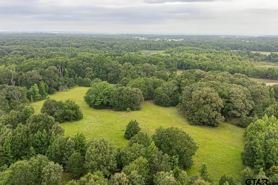 1656 VZ County Road 2918, Eustace, TX 75124 - Image #3