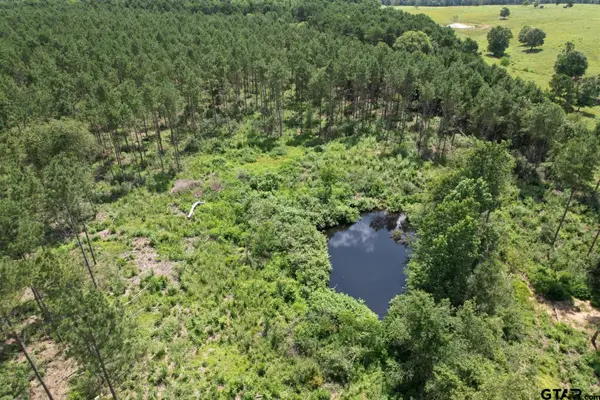 TBD CR 3706, Tenaha, TX 75974