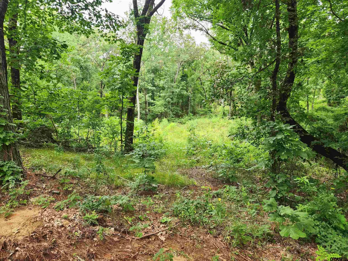 Lot 6 CR 4125, Lindale, TX 75771 - #1
