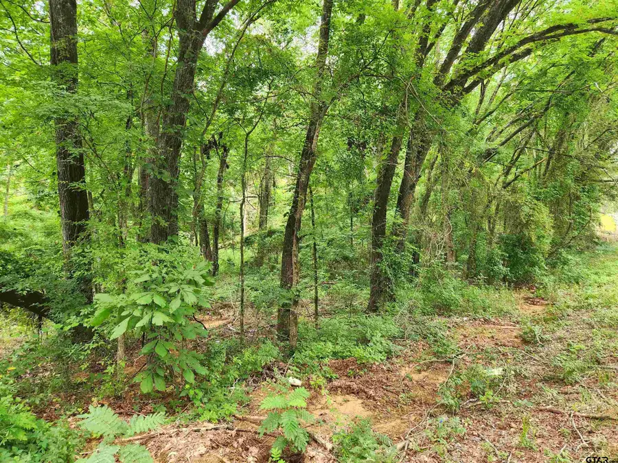 Lot 6 CR 4125, Lindale, TX 75771 - #3