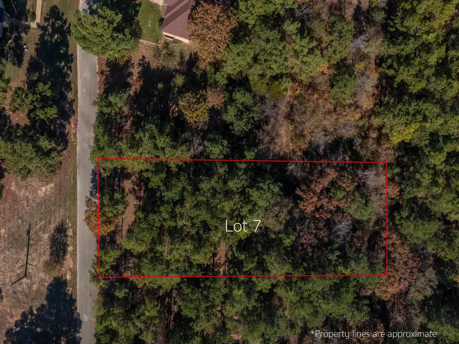 Lot 5 & 7 Skyline Dr, Brownsboro, TX 75756 - Image #3