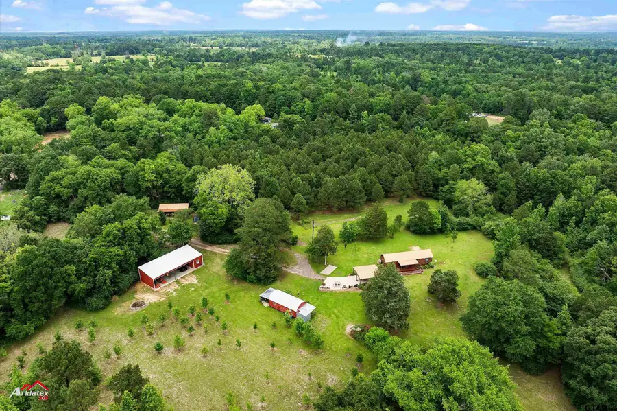 11028 E FM 2867, Henderson, TX 75654 - Image #3