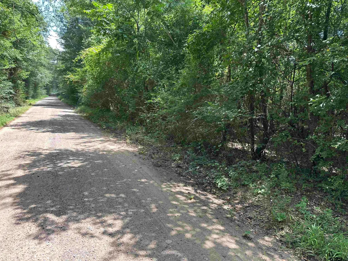 Tract 23 Juniper Rd, Big Sandy, TX 75755 - #1