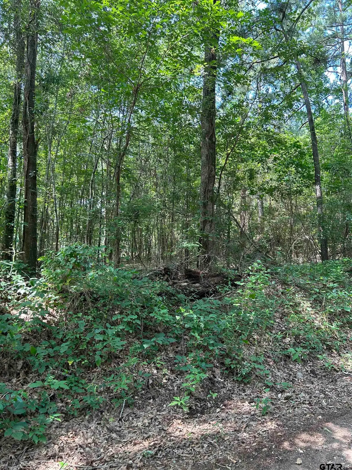 532 Jerome St., Rusk, TX 75785 - Image #1