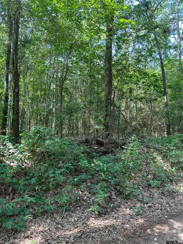 532 Jerome St., Rusk, TX 75785