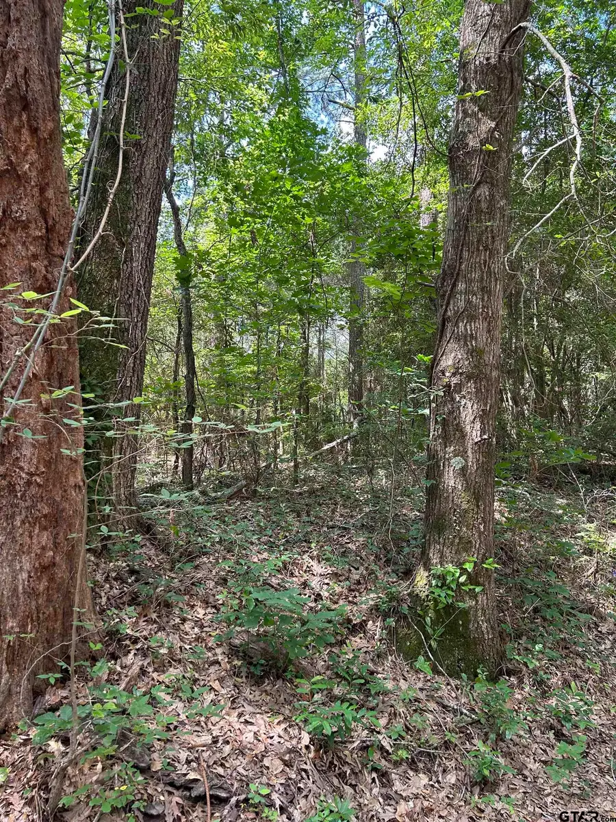 532 Jerome St., Rusk, TX 75785 - Image #2