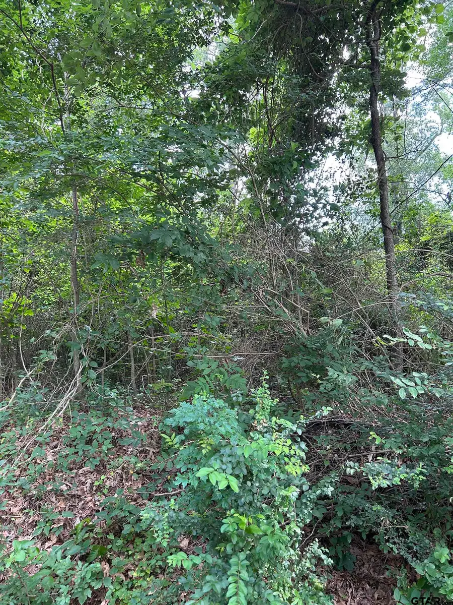 467 Williams St., Rusk, TX 75785 - Image #2