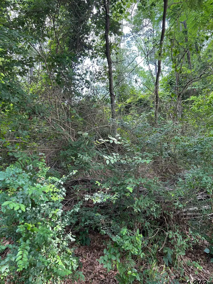 467 Williams St., Rusk, TX 75785 - Image #3