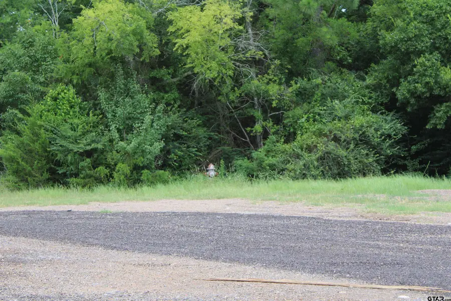 TBD Loop 456 -7 acres, Jacksonville, TX 75766 - Image #3