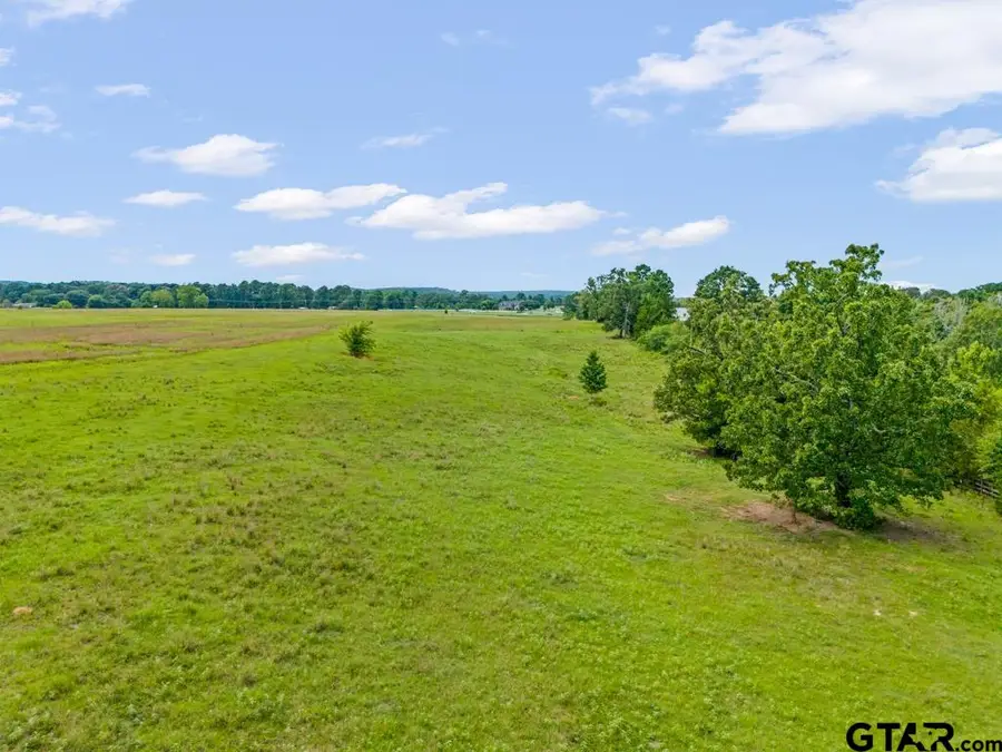 TBD Tract 1 State Hwy 155, Ore City, TX 75683 - #2