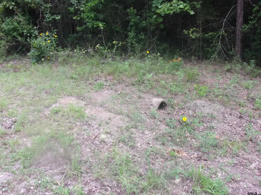 tbd Holly Glen, Murchison, TX 75778 - Image #2