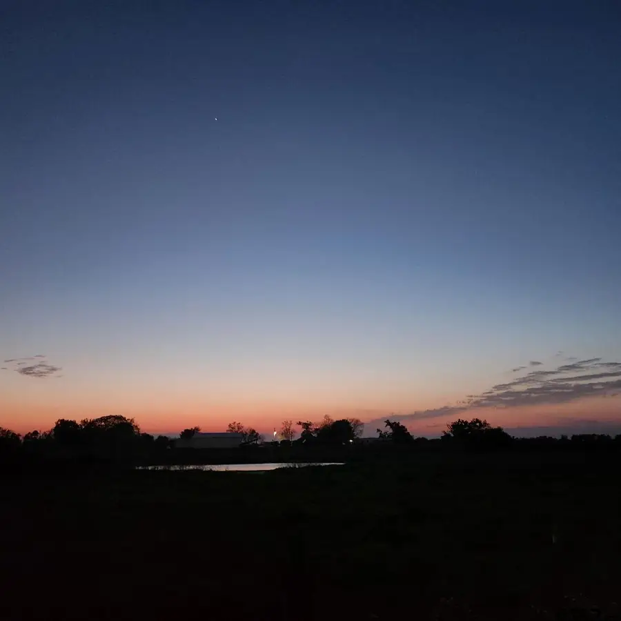 61.32 Acres County Road 3417, Emory, TX 75440 - Image #2