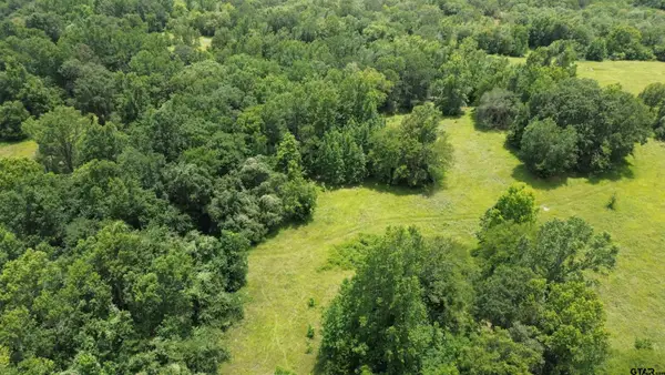 Tract #2 CR 2065, Crockett, TX 75835