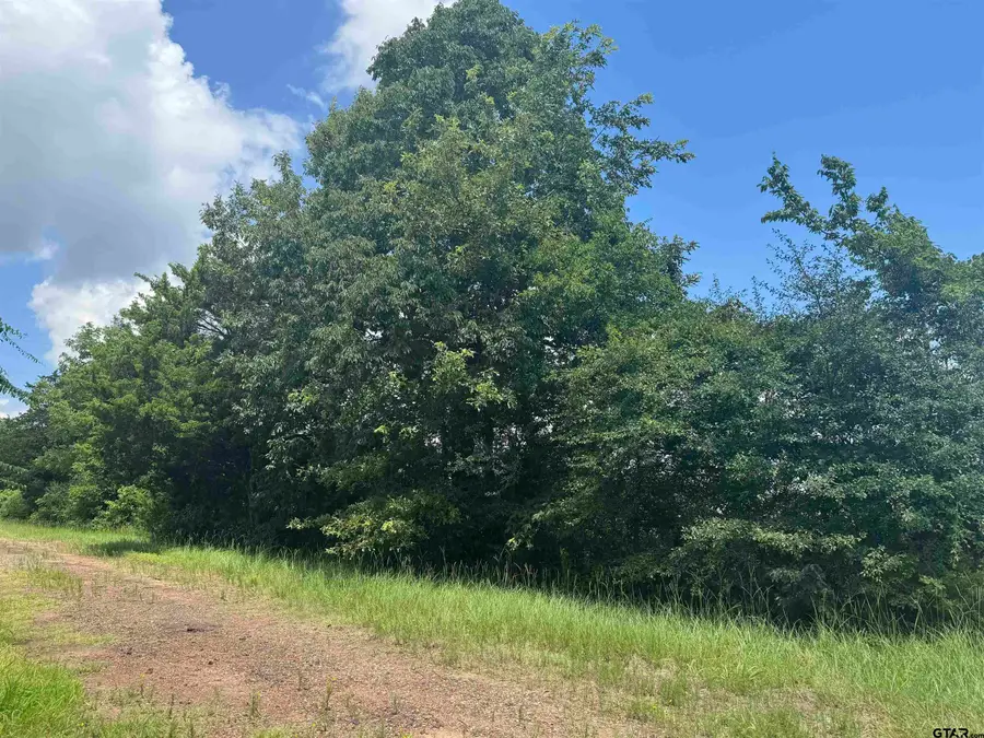 TBD CR 3925, Mount Pleasant, TX 75455 - Image #3