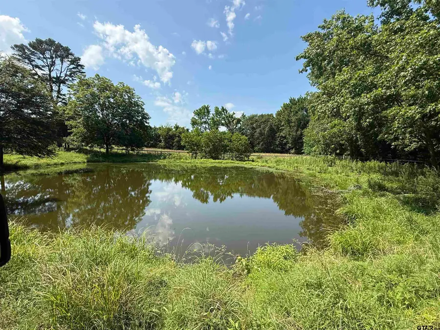 1708 SOUTH US HIGHWAY 69, Mineola, TX 75773 - #3